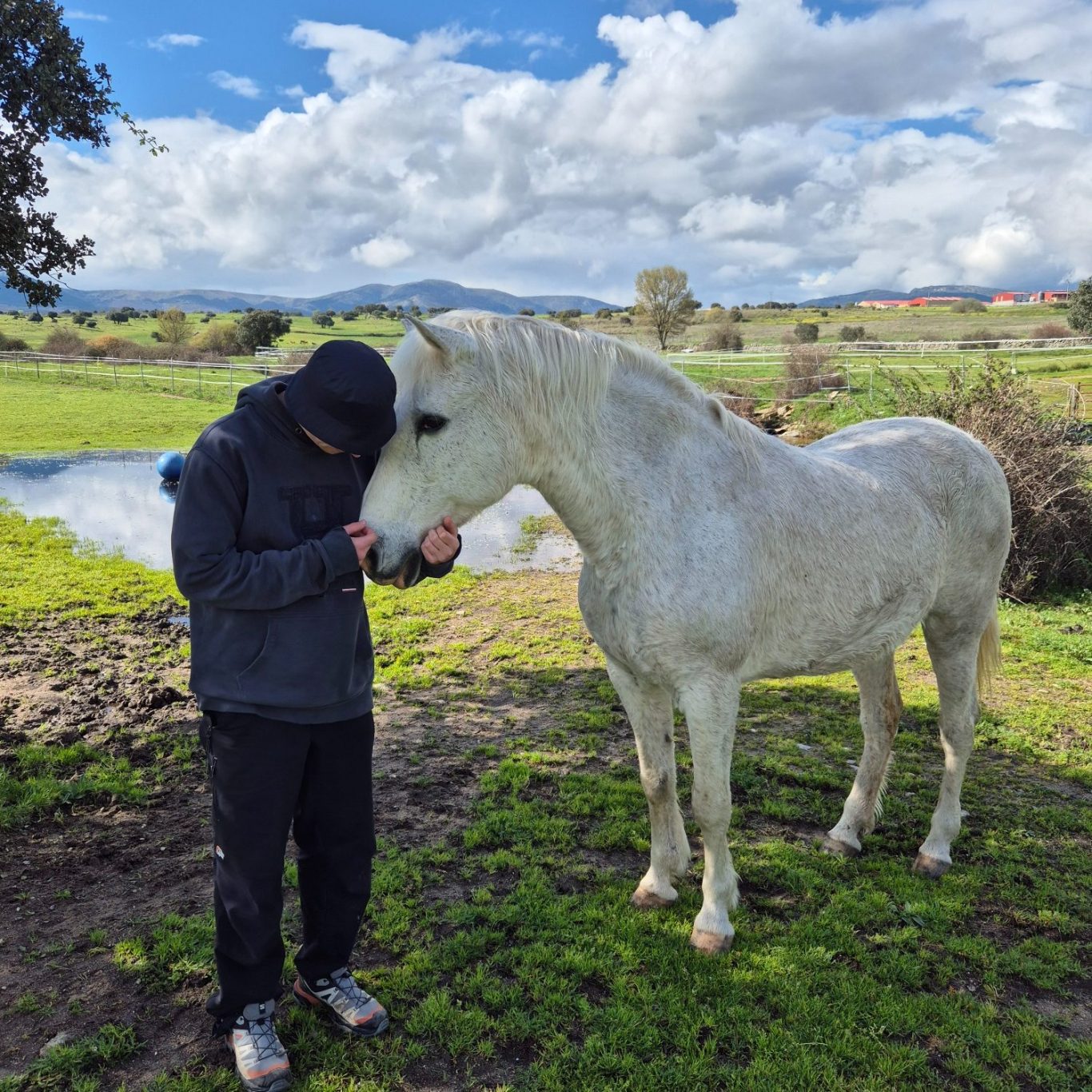 Persona acariciando un caballo blanco cerca de un estanque en Girona