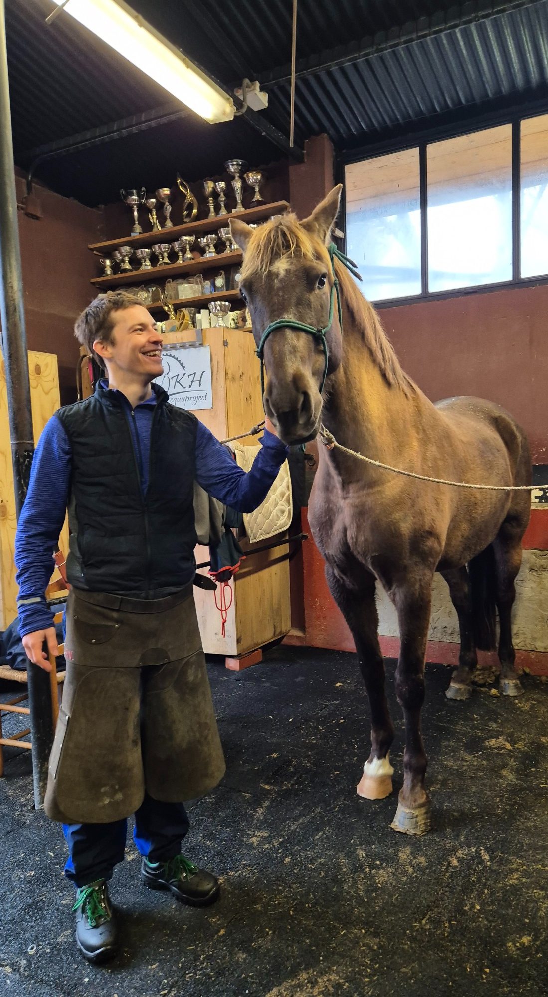Recorte natural del casco de caballo Hombre acariciando un caballo en un establo, con trofeos de campeonato.