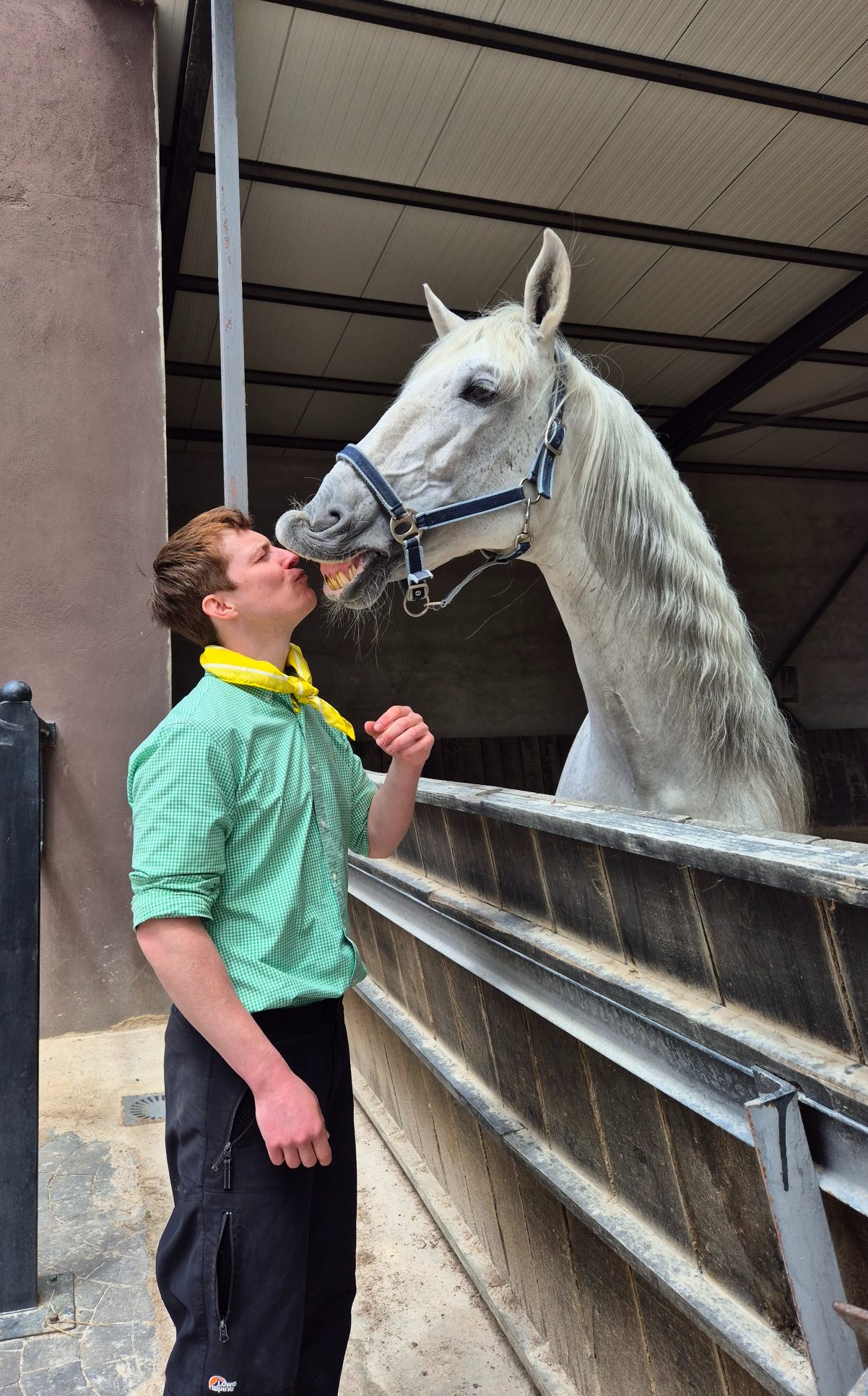 Un hombre en un establo acaricia a un caballo blanco.