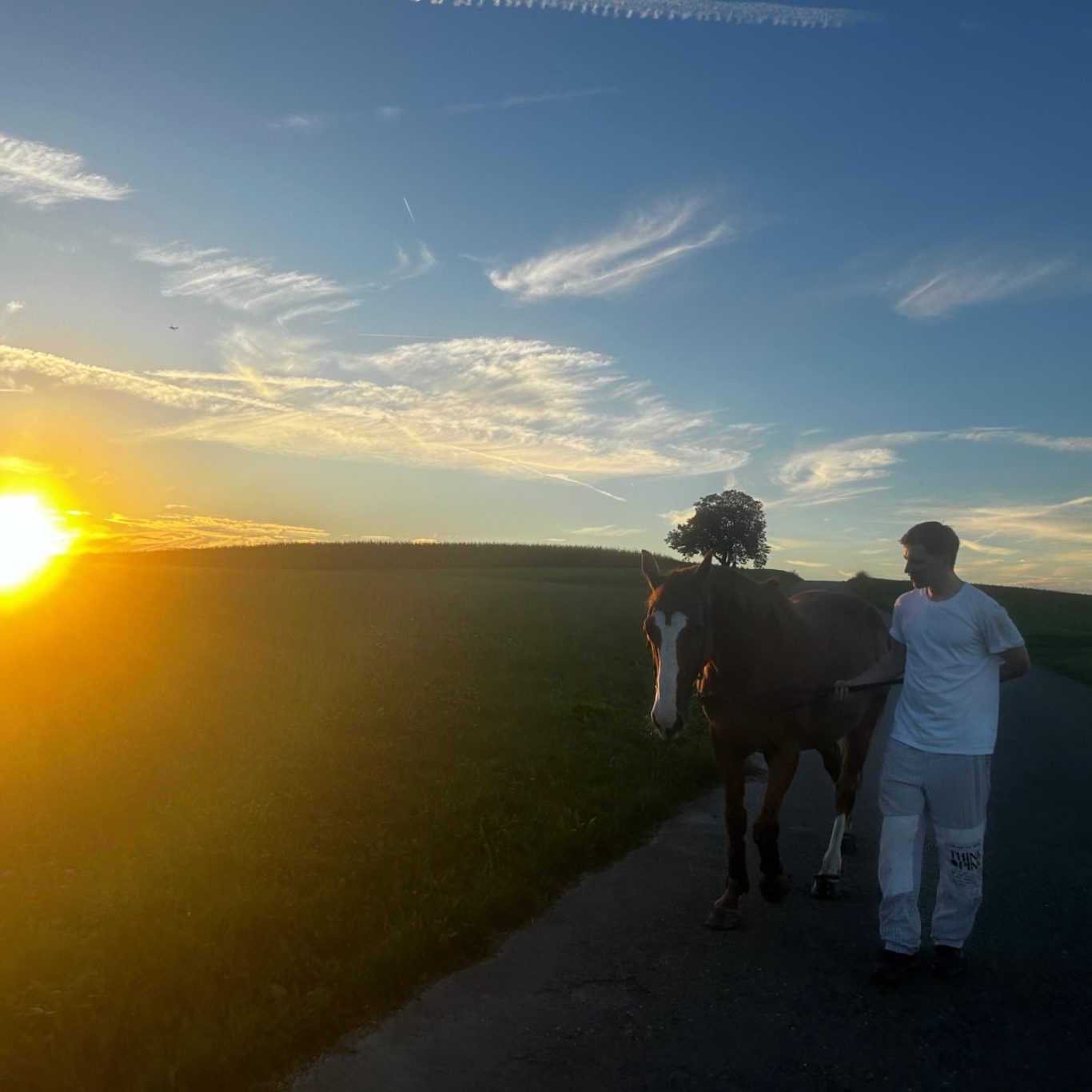 Una persona guía un caballo hacia el atardecer en un paisaje rural.