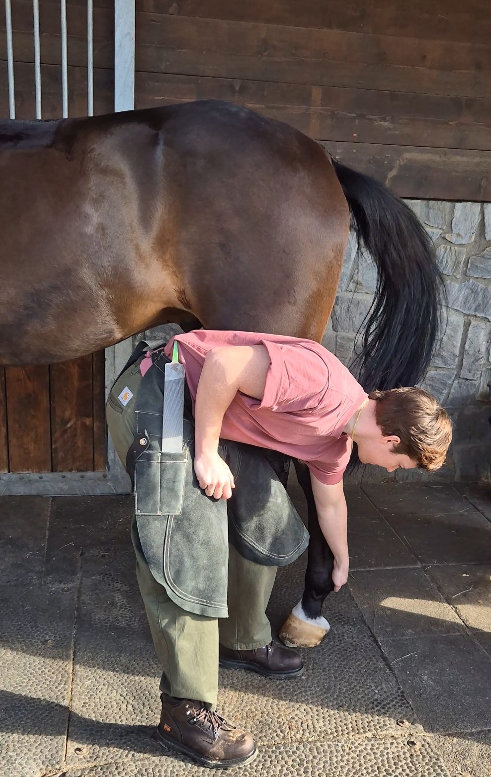 Biomecánica equina. Cuidado de cascos descalzos. Un hombre está arreglando los cascos de un caballo en un establo en Girona.