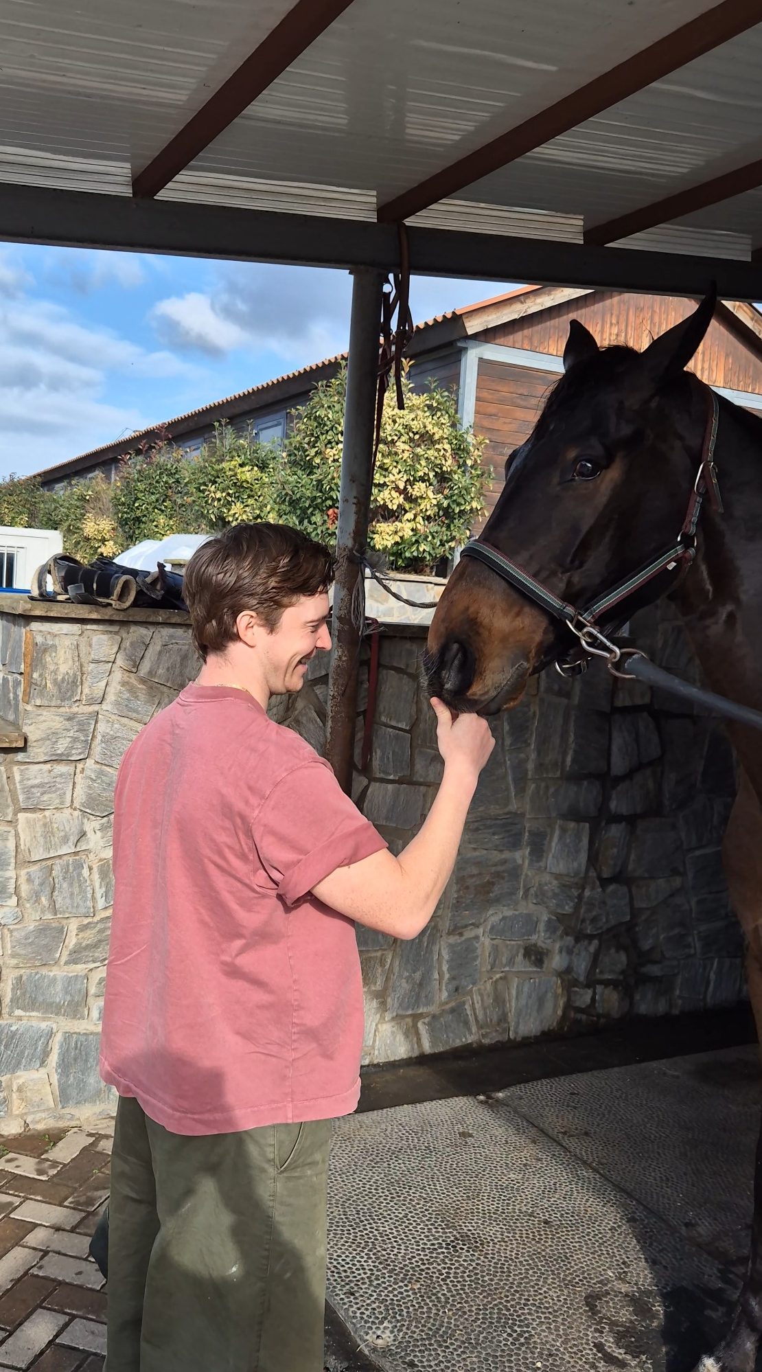 Persona acariciando a un caballo en Barcelona. Fondo de piedra y paisaje verde.